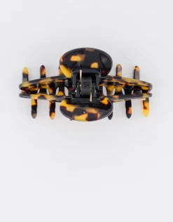 Alexandre de Paris CLÉMENCEAU