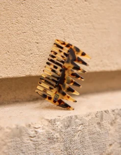 Alexandre de Paris LOUIS